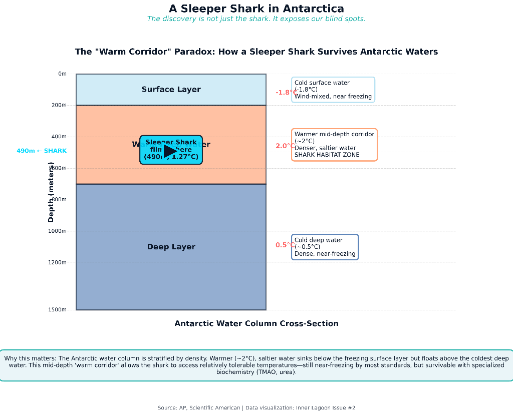 Clarion-Clipperton Zone Map and Nodule Growth Timeline